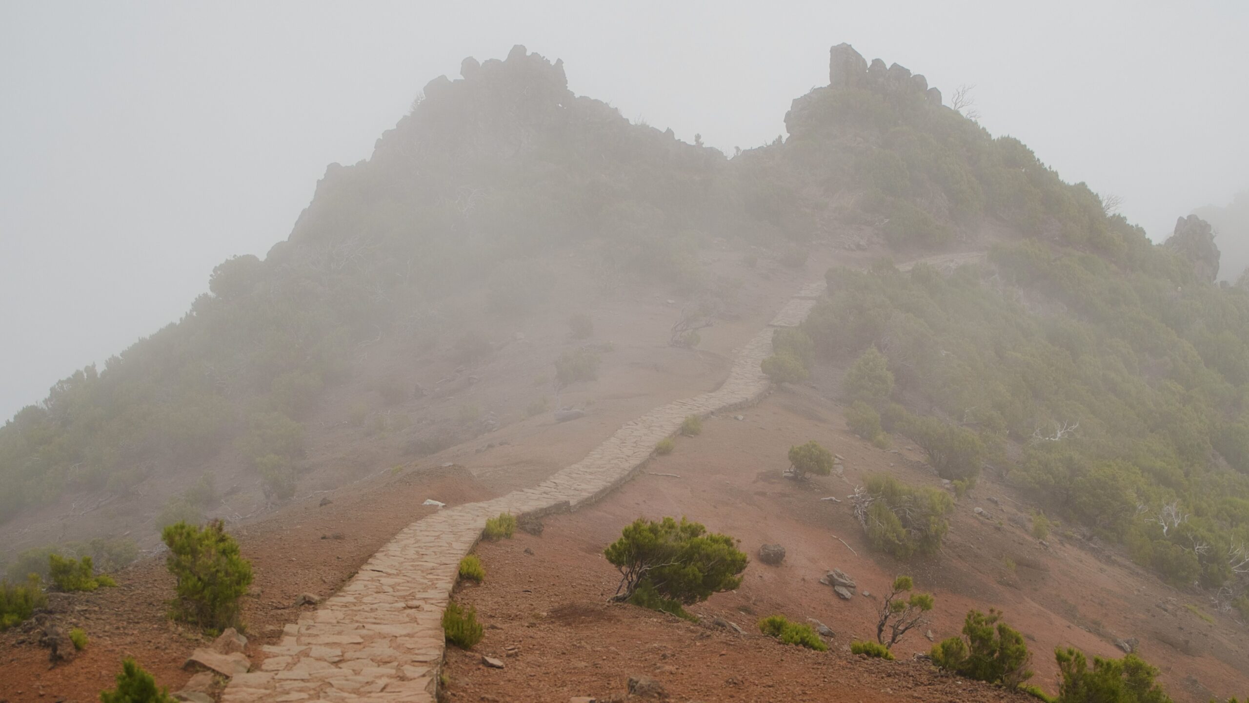 Abbild der Erinnerung